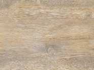 Synch White Oak