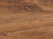 Teak